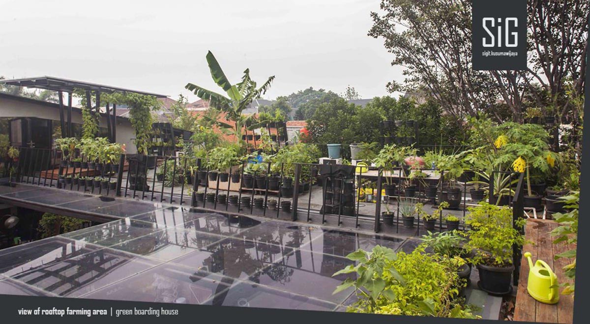 7 Desain Rooftop Garden Yang Bikin Rumah Makin Adem