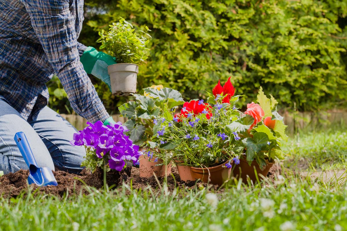 5 Tips Menyulap Taman Rumah Menjadi Healing Garden