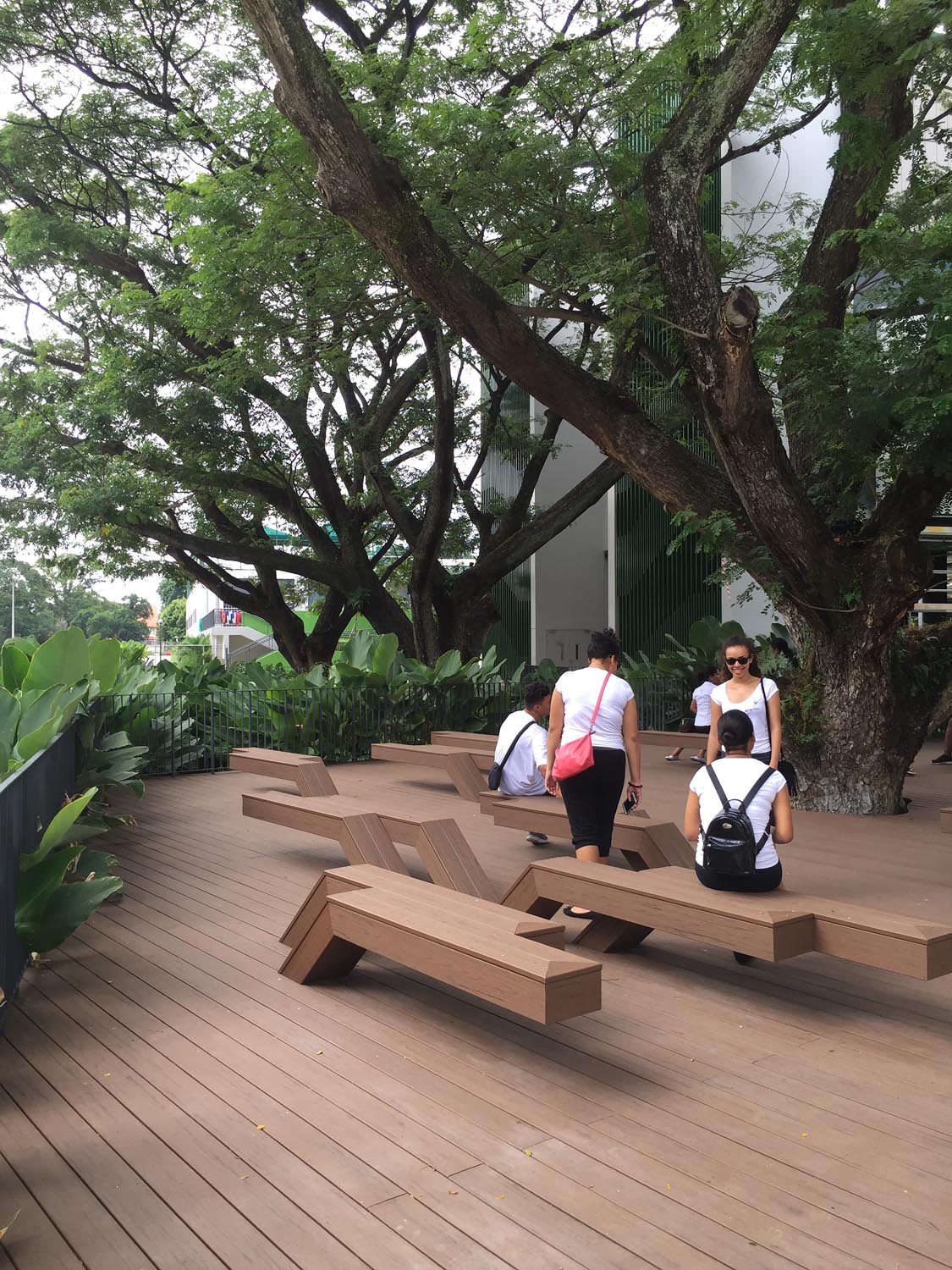 Lycée Francais de Singapour Extends With A Lush Open Space