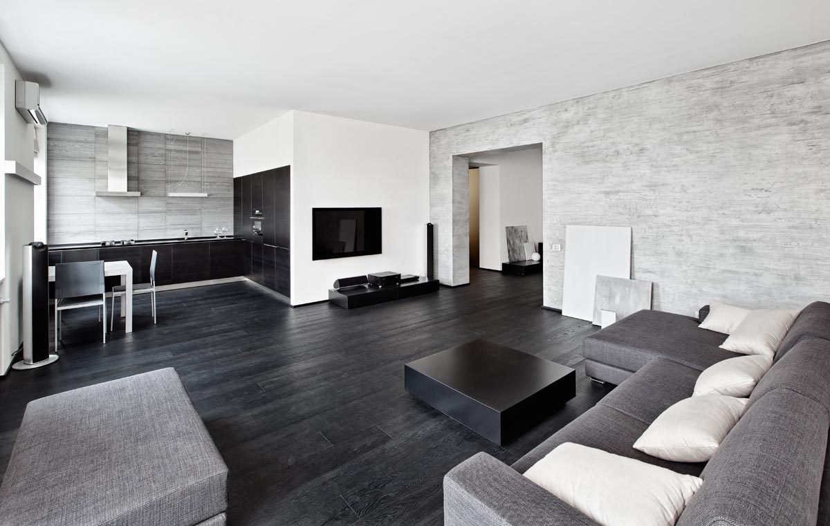 Black-and-White Monochrome Interior Design for Your Apartment