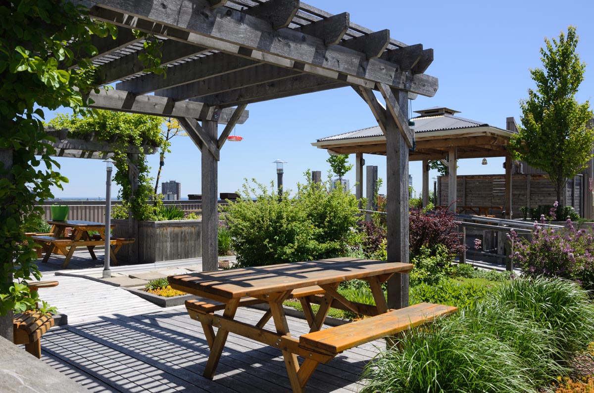 7 Desain Rooftop Garden yang Bikin Rumah Makin Adem