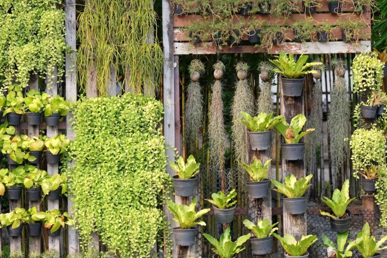 Five Simple Garden Design Ideas To Adorn A Small Home - Miniature Plants Home Decoration Ideas