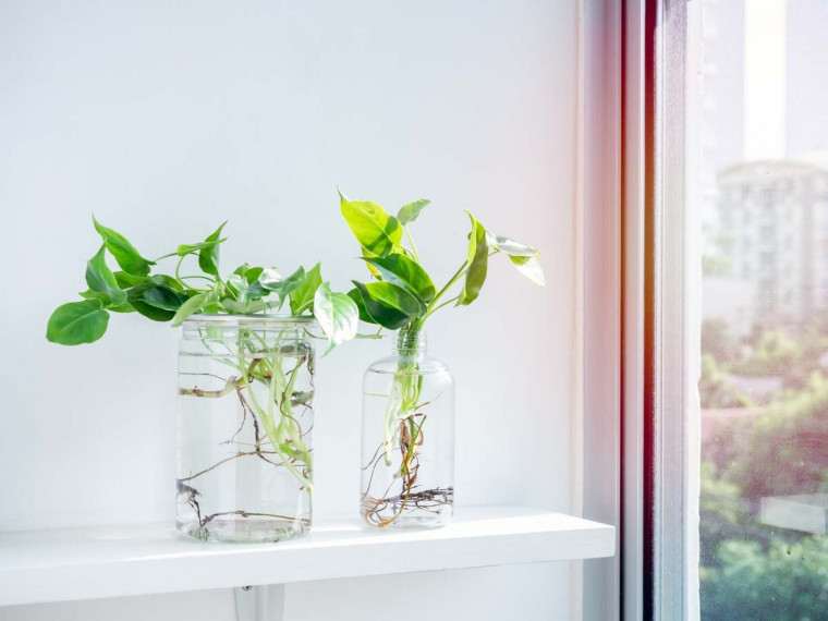 Eco-Friendly DIY Craft Ideas to Enhance your Interior