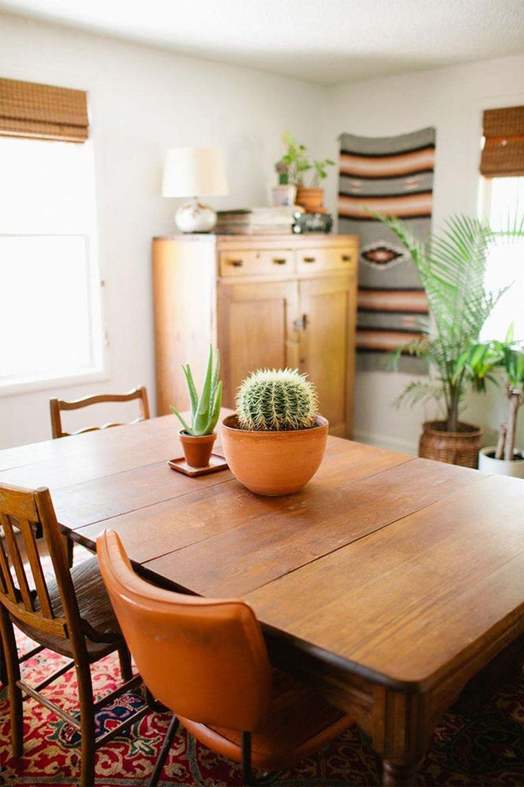 ide dekorasi kaktus inspirasi kaktus kaktus dalam rumah