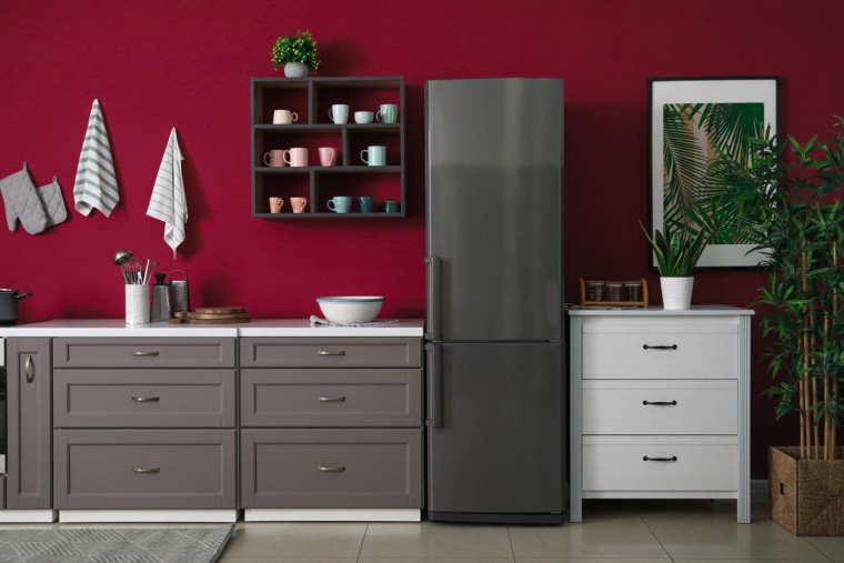 Looking for a New Refrigerator? Check Out These Seven Types of Refrigerator 