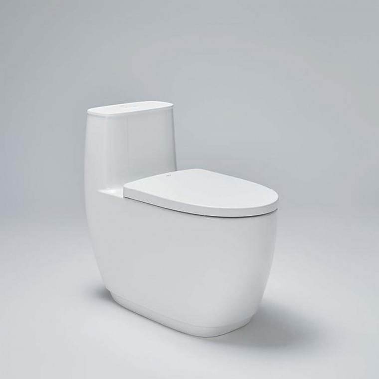 Getting to Know Five Types of Toilets for Your Home