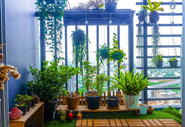 Tips Menciptakan Taman Mungil di Balkon Rumah