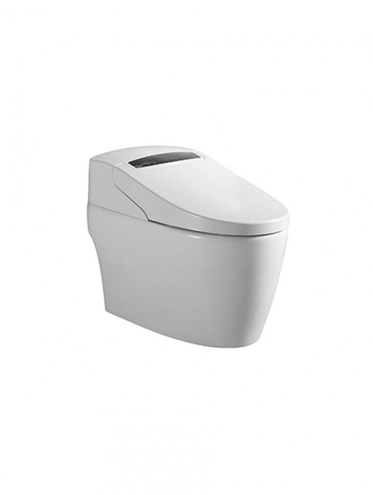 Getting to Know Five Types of Toilets for Your Home