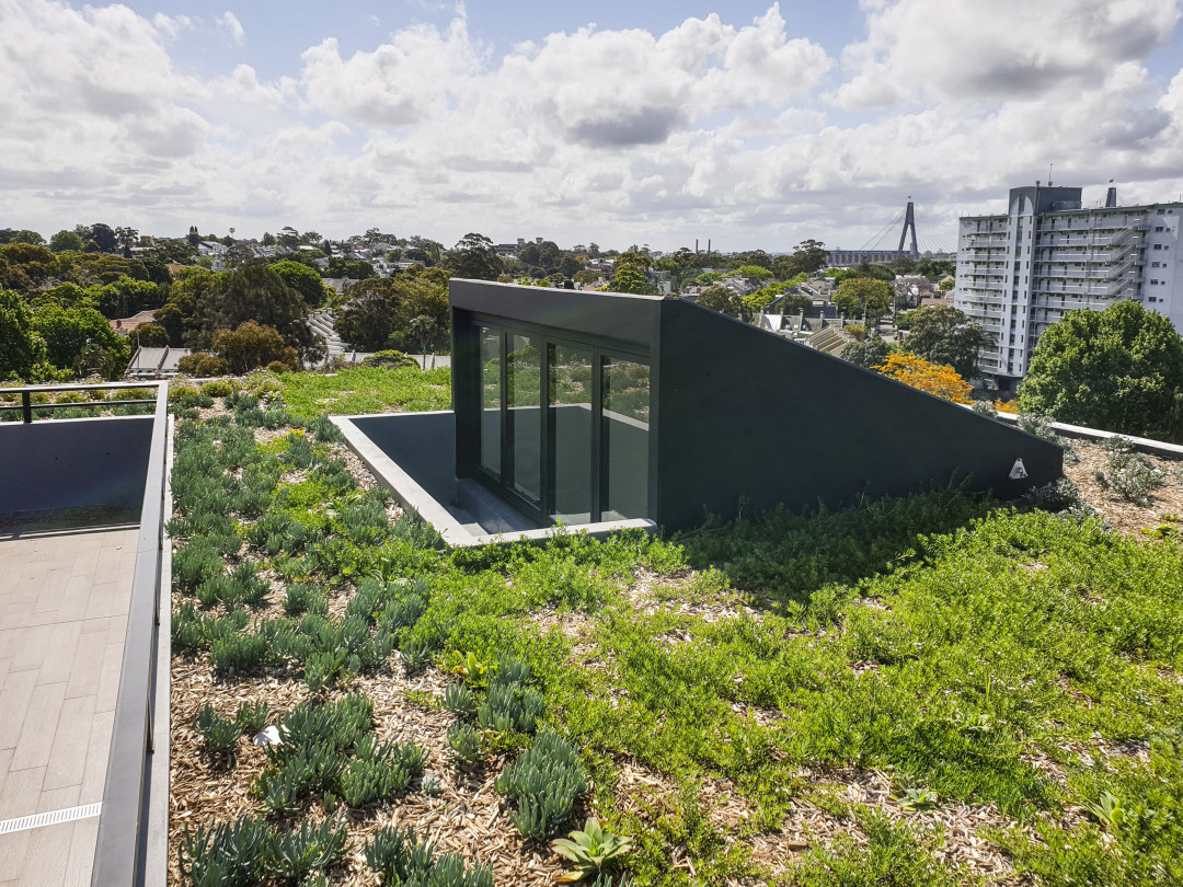 Project Highlight: West End Residences - Glebe