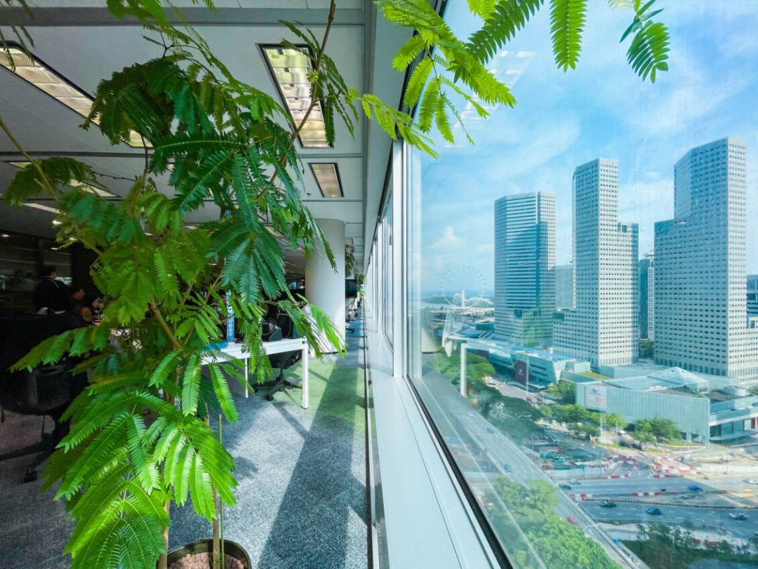 The Workplace Reimagined: Benoy + Uncommon Land’s New Home in Singapore