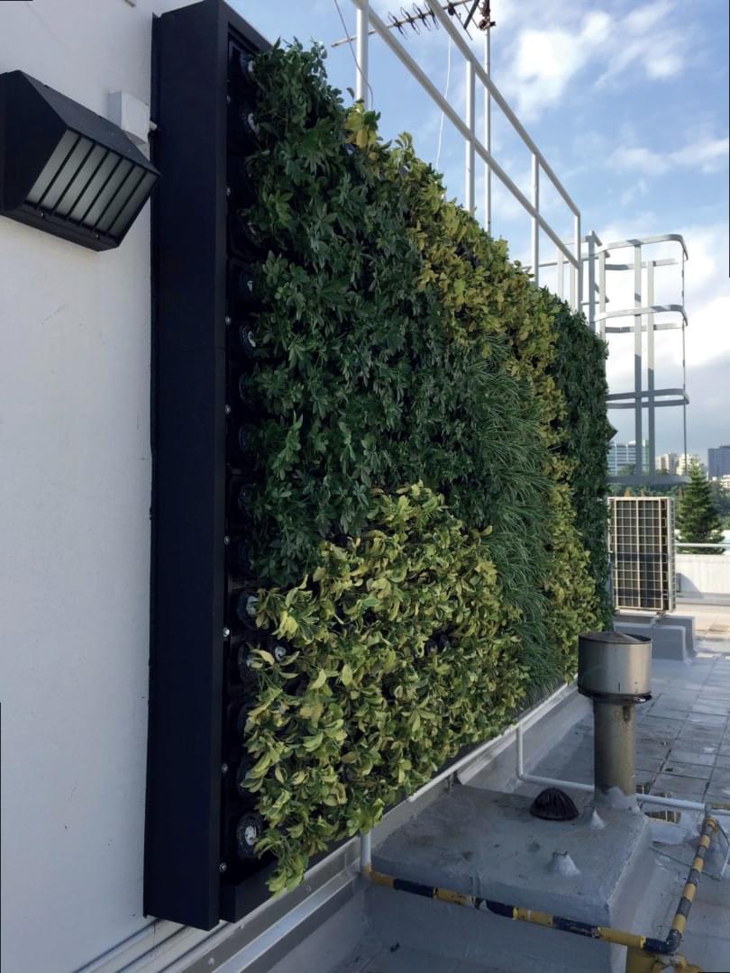 Vertical Greenwall System VS600 from InnoGreen