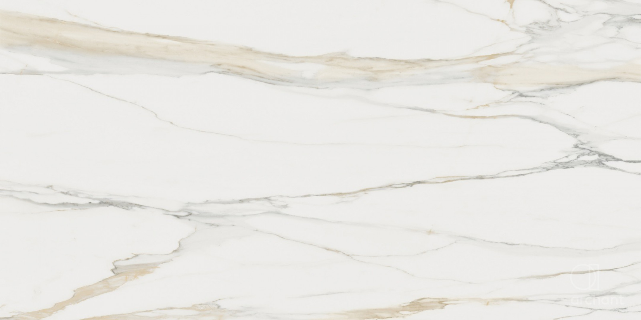 Marble Calacatta Gold A, Matte, 12mm from Archant