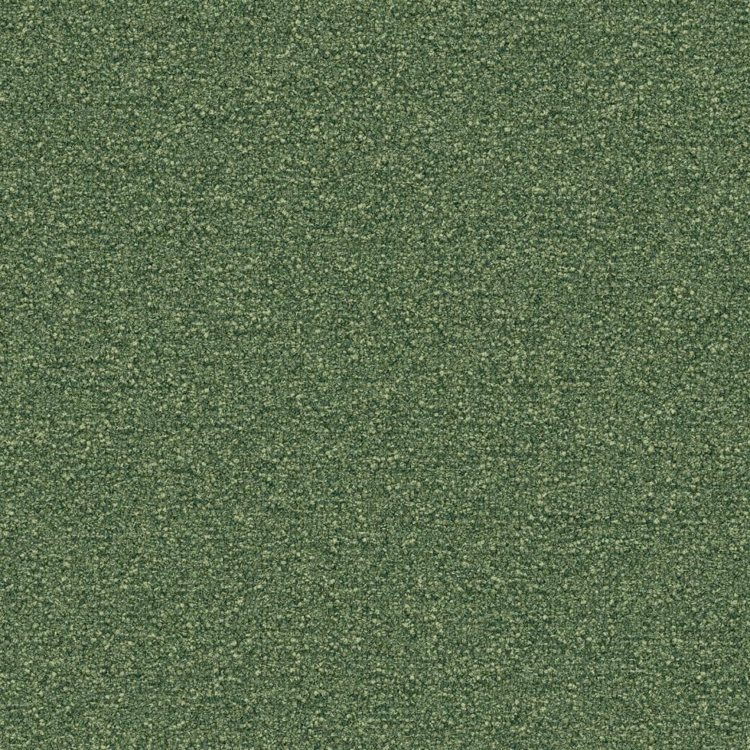 Speckled Ground - Pine from Inzide