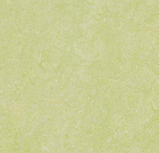 Marmoleum Marbled - 3881 | Green wellness from Inzide