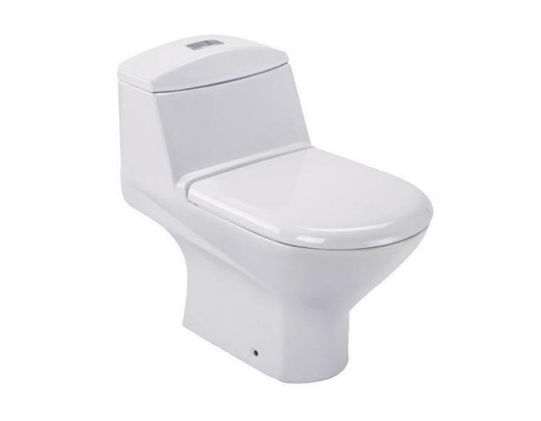 Trocadero Dual Flush One-piece Toilet with quiet close seat 19056T-S from KOHLER