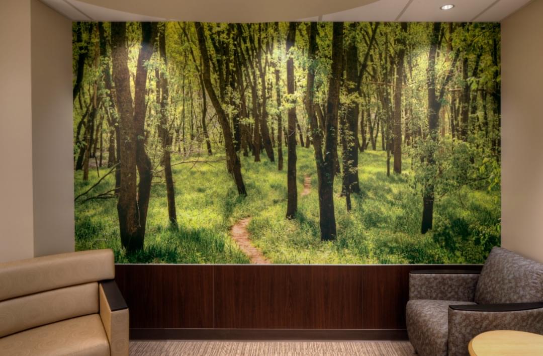 Aspex® Digitally Backprinted Wall Protection from Acculine