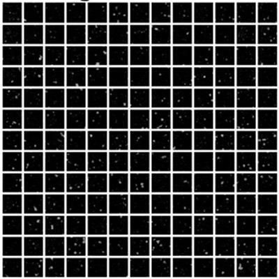 White Grid Black from Granito