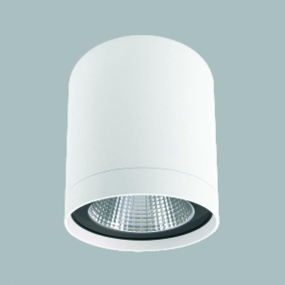 GFN WG716R Ceiling Light (White) from The PLC Group