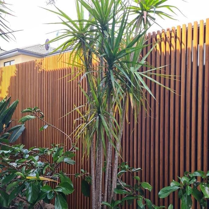 Bamboo Screens from Eco Greenhaus