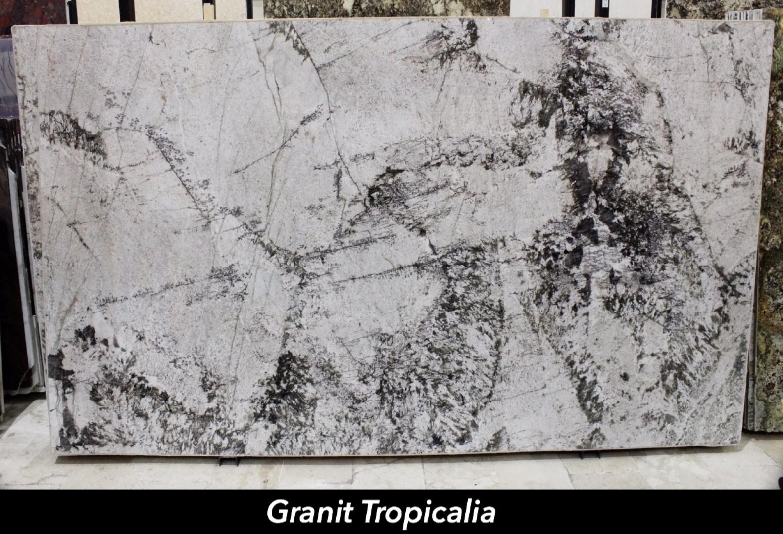 Granit Tropicalia from JSP
