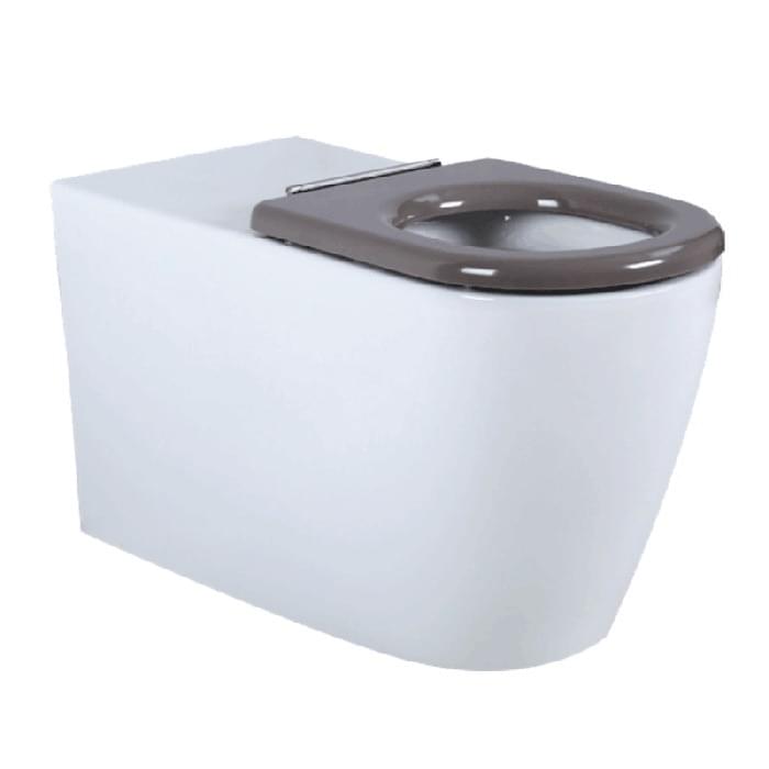 Ceramic Accessible Toilet Pan from Britex