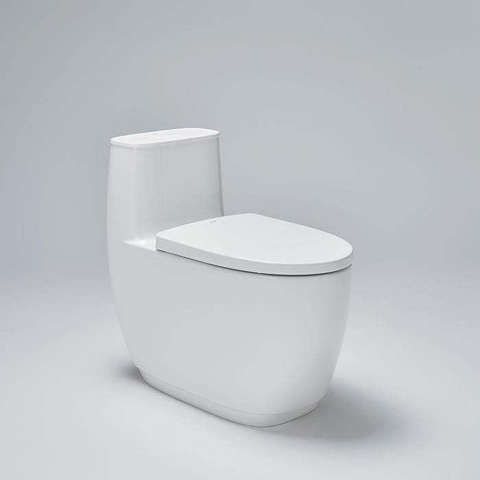 S600 ONE-PIECE TOILET from INAX