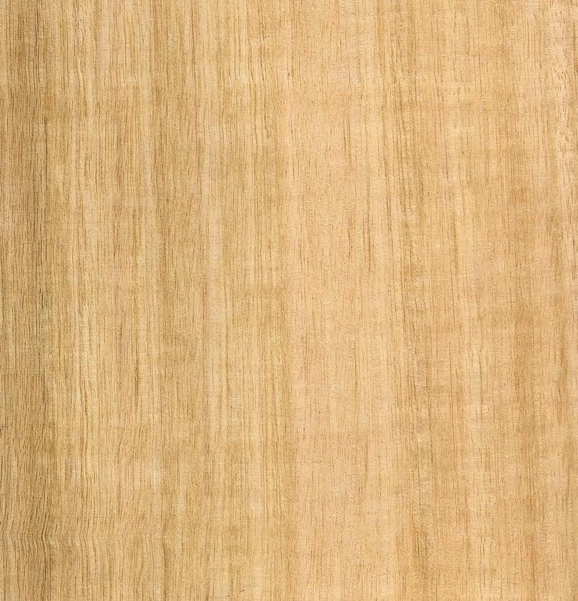 Tasmanian Oak Quarter Cut Timber Veneer from Bord Products