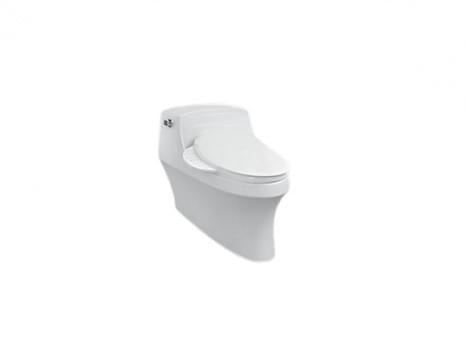 San Raphael Grande 1PC Toilet (Hidden Cord) - K-8688T-HC-0