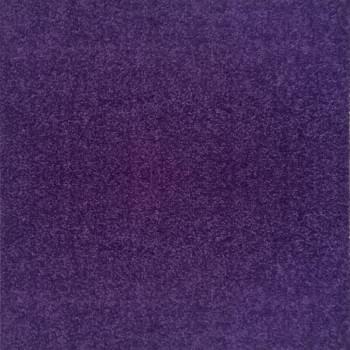 CC13-Purple
