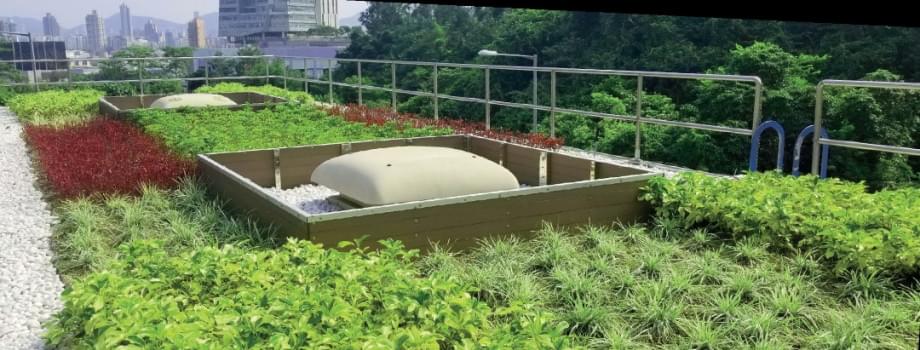 Green Roof System from InnoGreen