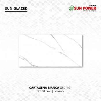 Cartagena Bianca 30x60 from Sun Power