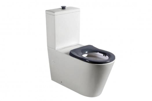 Wellbeing 800 Close Coupled Back-to-Wall Toilet Suite - WELLBEING800CCWC