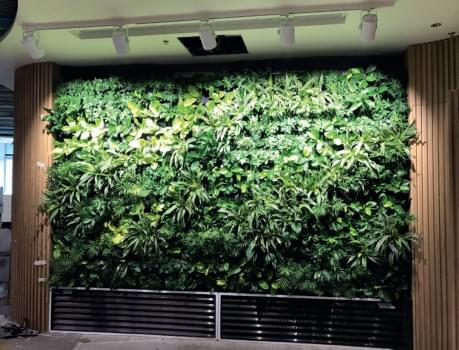 Smart Greenwall Root Zone Air Filtering System from InnoGreen