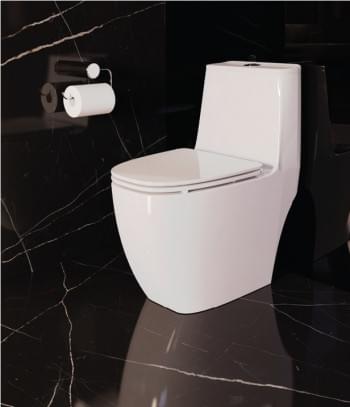 One Piece Water Closet - WO5387F from Rigel