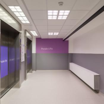 Altro Fortis Titanium™ 15 | Wall Protection Sheets