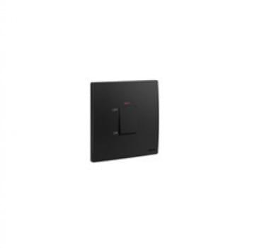 Double pole switches 45 A - 250 VA~ from Legrand