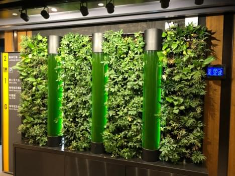 Microalgae Green Wall from Greentins