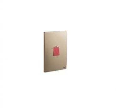 Double pole switches 45 A - 250 VA~ from Legrand
