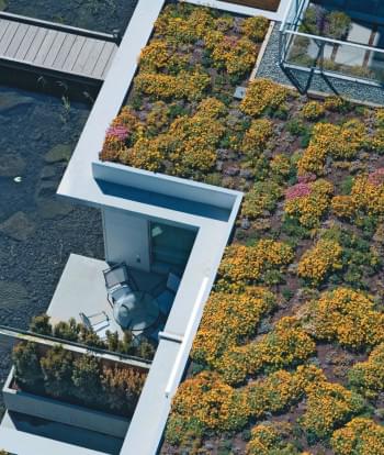 Green Roof Waterproofing System