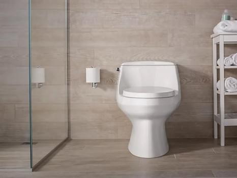 San Raphael C5 1-PC Toilet, 4.8L - K-3722K-ITNS-0 from KOHLER
