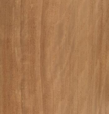 Brushbox Quarter Cut Timber Veneer from Bord Products