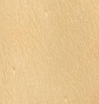 Hoop Pine A/C Exterior Plywood from Bord Products
