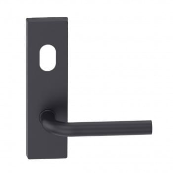 Rectangular Plate Lever #13 Cylinder/Concealed from ENTRO