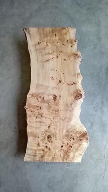 Poplar Burl Wood Slab (Liv edge)