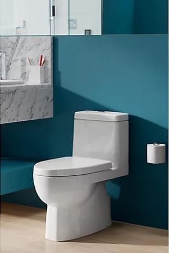 Reach Skirted One-Piece Dual Flush 3/4.8L Toilet with Class 5 Flushing Technology - K-3983T-S2-0 from KOHLER