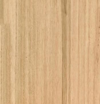 Blackbutt Quarter Cut Timber Veneer