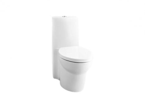 Saile Skirted One-piece Dual Flush 3/6L Washdown Toilet with P-trap - K-3564T-SP2-0
