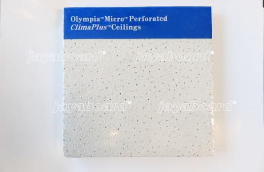 Olympia™ Micro™ ClimaPlus ™ from JAYABOARD