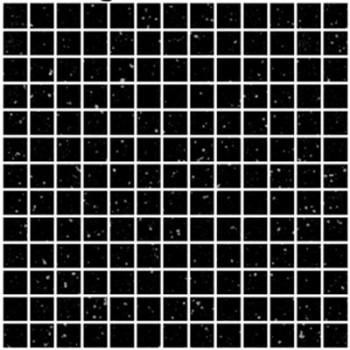 White Grid Black