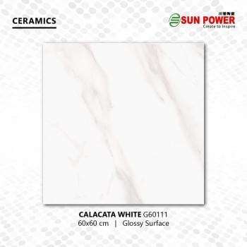 Calacata White from Sun Power